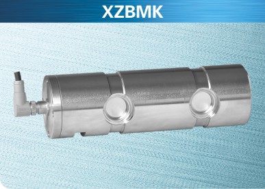 軸銷式傳感器
